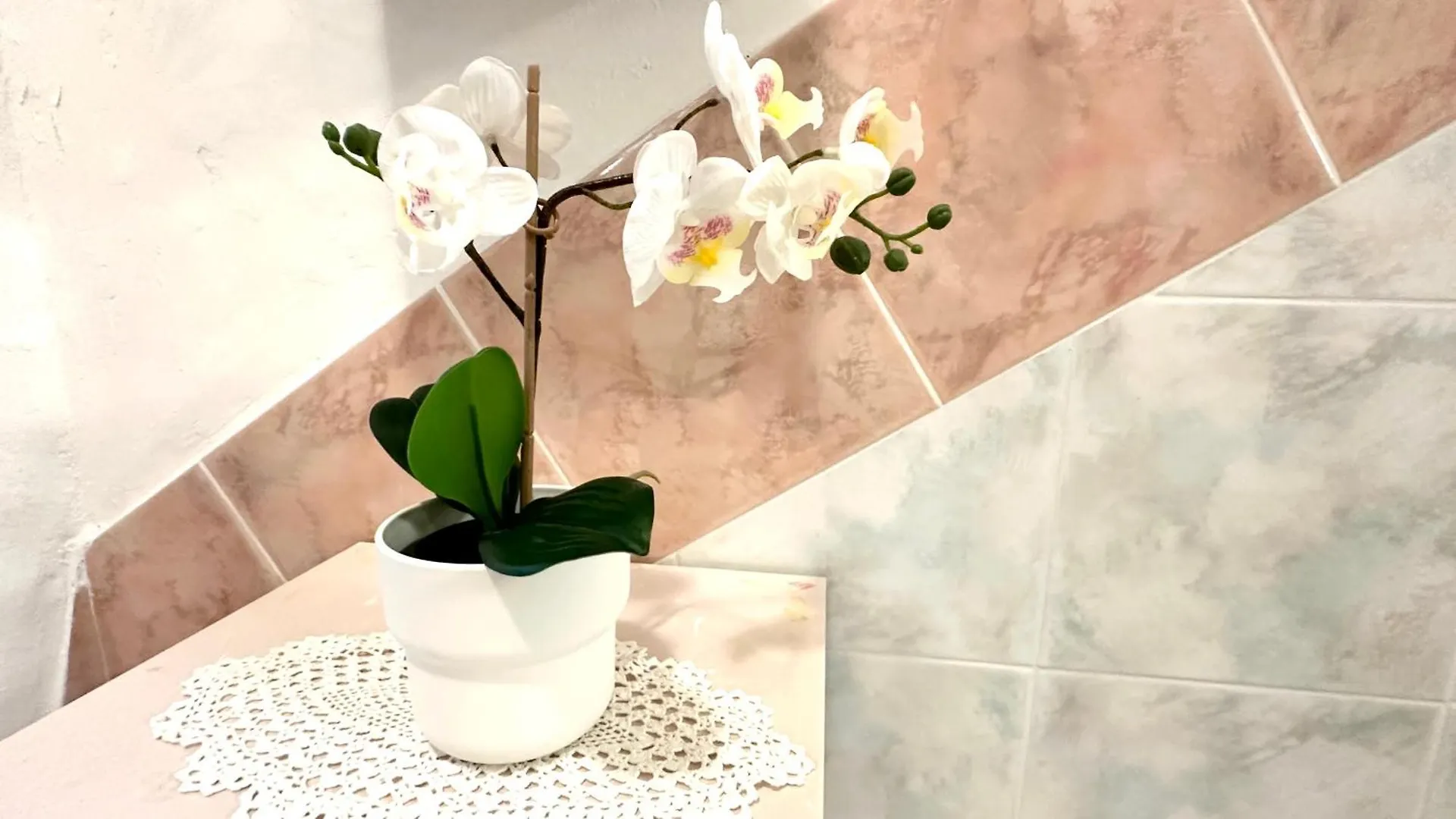 Amarin Pisa Apartment